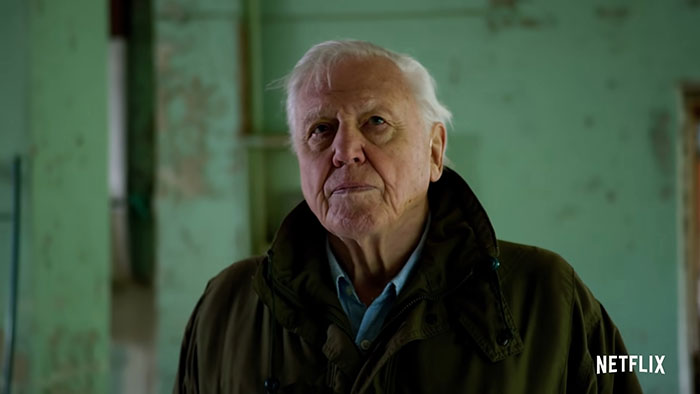 Elderly man in a dark coat standing indoors, reflecting the discovery of a bizarre 200-million-year-old species not extinct. Elderly man in a dark coat standing indoors, reflecting the discovery of a bizarre 200-million-year-old species not extinct.