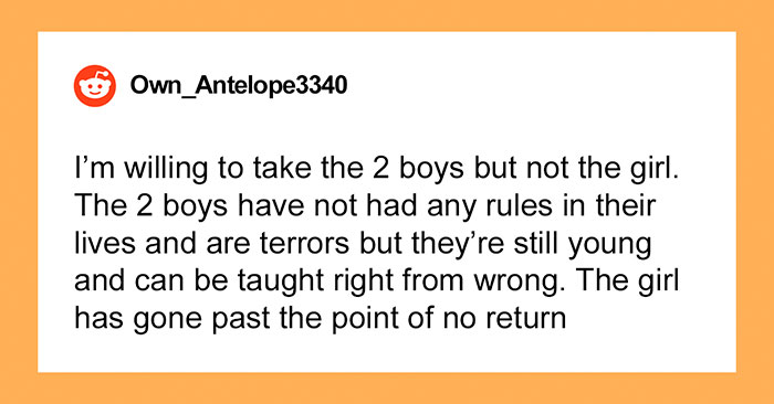 “AITA For Telling My Wife We Can Adopt Her Nephews But Not Her Niece?”