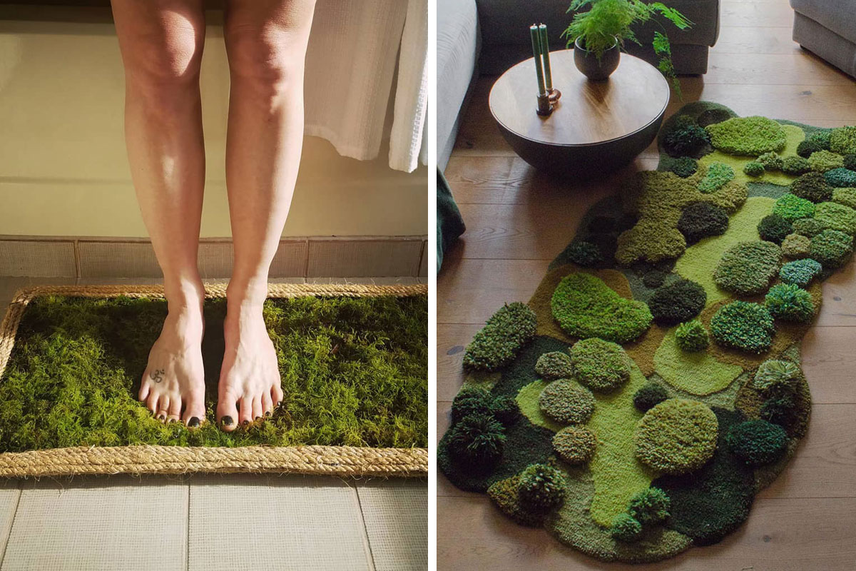 I made a $500 moss carpet out of materials from my home #mosscarpet #d