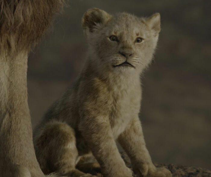 Mufasa with Simba looking from The Lion King movie