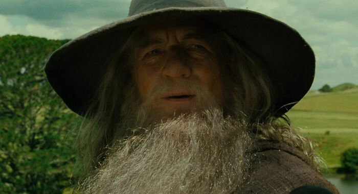 Gandalf looking from Lord of the Rings