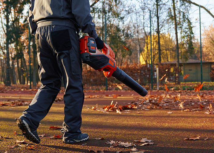 Neighbor Calls Police Because Of A Few Leaves, Regrets It After This Guy Gets Revenge Neighbor Calls Police Because Of A Few Leaves, Regrets It After This Guy Gets Revenge