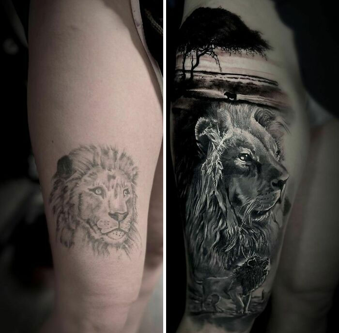 Lion Cover-Up
