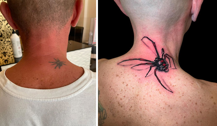 Spider Cover-Up