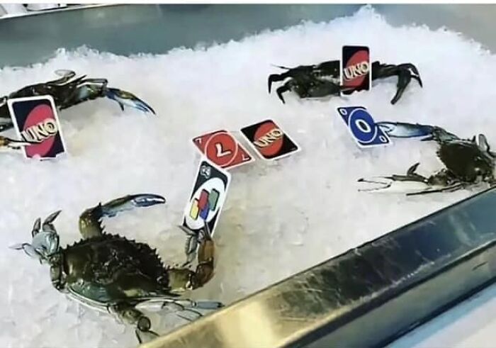 50 Weird Images That Need No Context Whatsoever To Be Hilarious As 