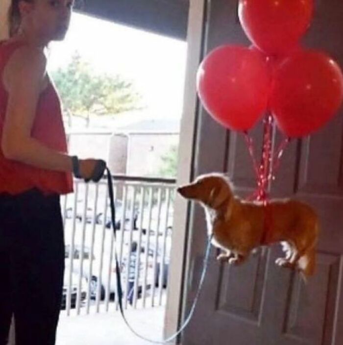 50 Weird Images That Need No Context Whatsoever To Be Hilarious As 