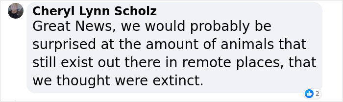 Comment by Cheryl Lynn Scholz expressing surprise about animals once thought extinct still existing in remote places. Comment by Cheryl Lynn Scholz expressing surprise about animals once thought extinct still existing in remote places.