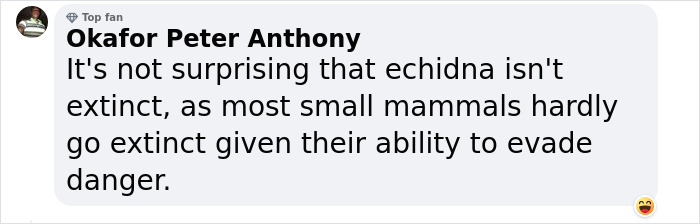 Comment by Okafor Peter Anthony discussing the survival of echidnas and their ability to evade danger. Comment by Okafor Peter Anthony discussing the survival of echidnas and their ability to evade danger.