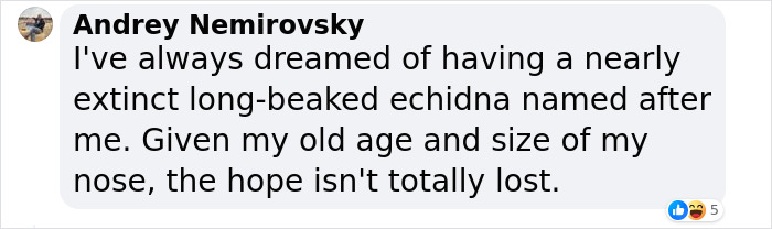 Comment by Andrey Nemirovsky about dreaming of a nearly extinct long-beaked echidna linked to bizarre 200-million-year-old species discovery. Comment by Andrey Nemirovsky about dreaming of a nearly extinct long-beaked echidna linked to bizarre 200-million-year-old species discovery.