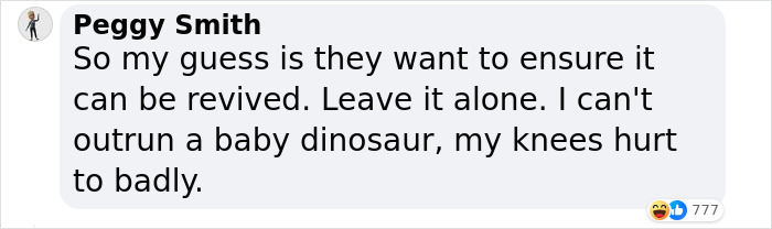 Scientists Unveil “Most Complete Dinosaur Embryo Ever,” Solving Mysteries About Species Growth Scientists Unveil “Most Complete Dinosaur Embryo Ever,” Solving Mysteries About Species Growth