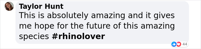 “It’s An Incredible Event”: Critically Endangered Sumatran Rhino Welcomes Her First Baby Calf “It’s An Incredible Event”: Critically Endangered Sumatran Rhino Welcomes Her First Baby Calf