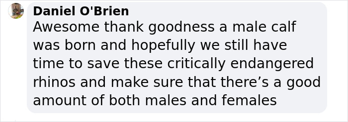 “It’s An Incredible Event”: Critically Endangered Sumatran Rhino Welcomes Her First Baby Calf “It’s An Incredible Event”: Critically Endangered Sumatran Rhino Welcomes Her First Baby Calf