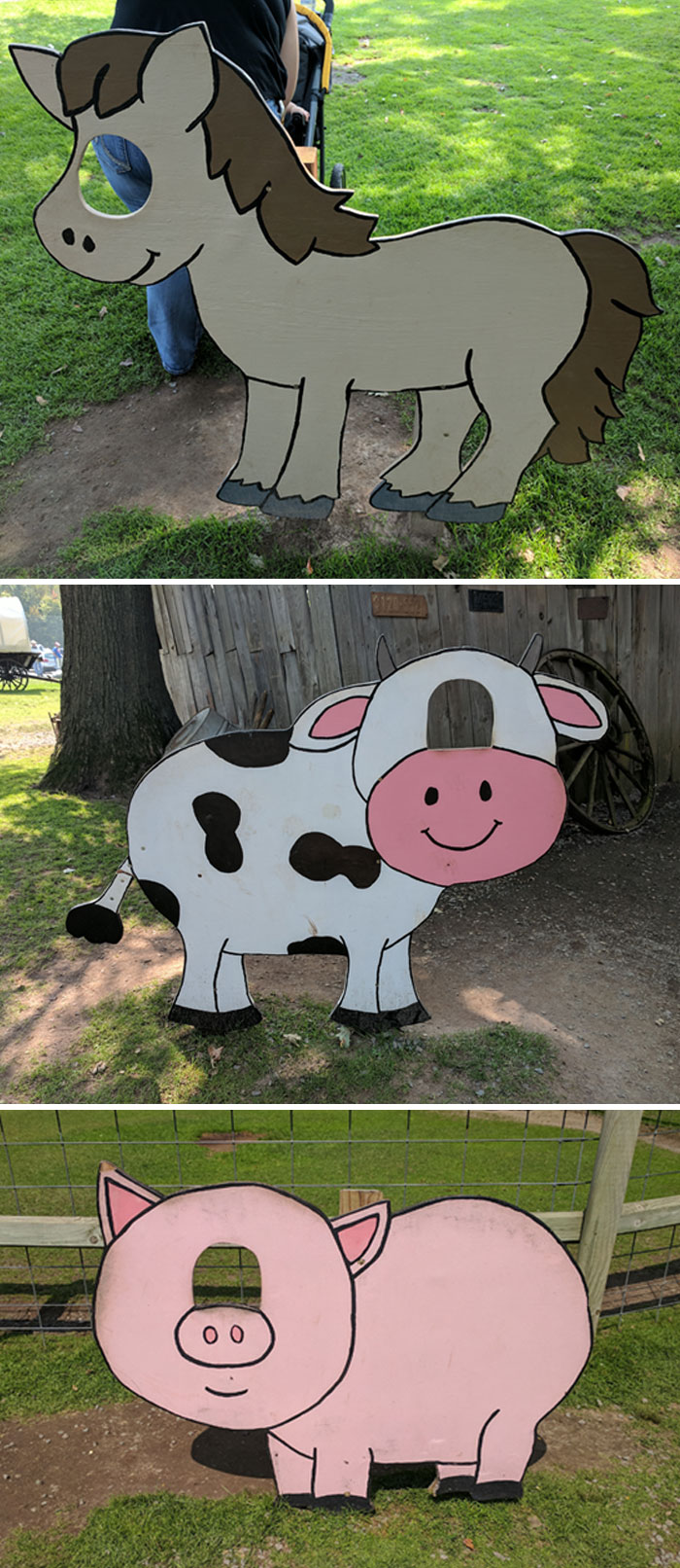 Our Local Wildlife Shelter Has A Weird Idea About How Photo Cutouts Are Built