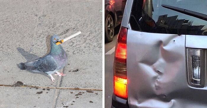 Here Are 50 Of The Most Interesting Images Selected By This Instagram Page