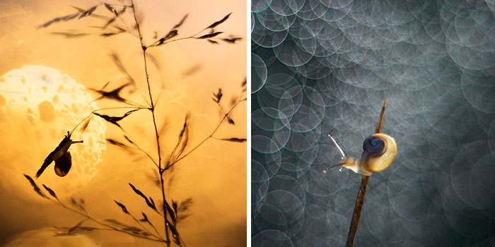 I Love To Photograph In The Morning Or Evening, Here Are 30 Of My Shots Taken During The Golden Hour