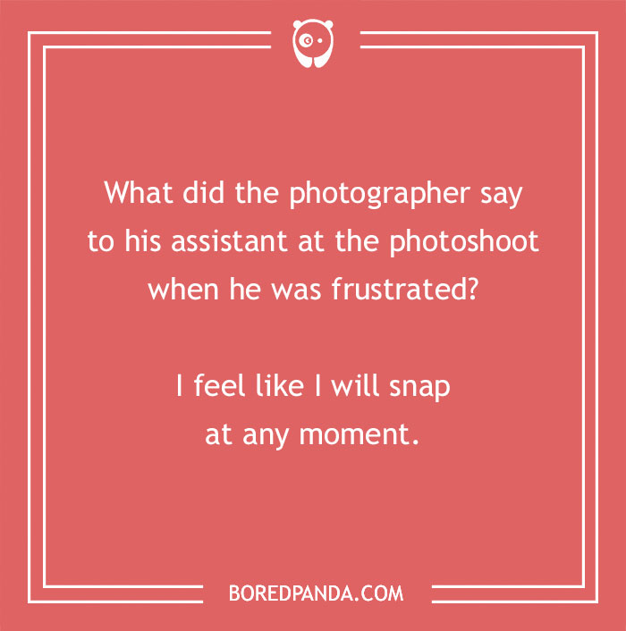 115 Photography Jokes That Shutterbugs Will Be Fond Of