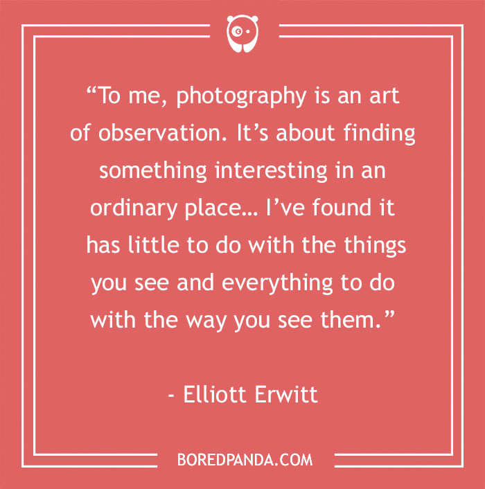 144 Inspiring Photography Quotes To Pause And Take A Photo