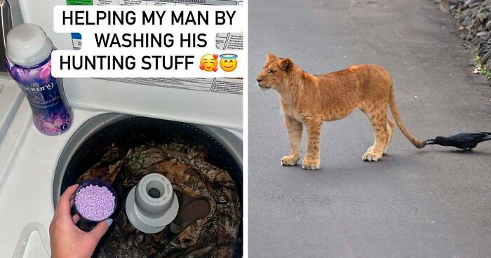 “Photos Taken Before Disaster”: 45 Pics That Foreshadow Unfortunate Events