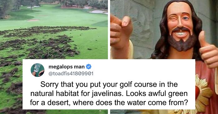 Javelinas Have No Mercy On A Golf Course In Arizona And Folks Online Are Cheering Them On