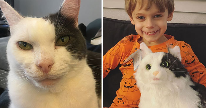 35 Personalized Plushies That Let People Hug Their Lost Pets Once Again, Made By This Company