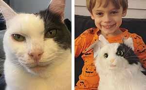 48 People That Got Reunited With Their Lost Pets With The Help Of Customized Plushies (New Pics)
