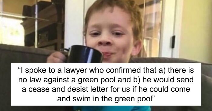 Person Wreaks Petty Revenge On Neighbor Who Kept Complaining About Their Pool By Painting It Green