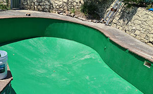 Person Wreaks Petty Revenge On Neighbor Who Kept Complaining About Their Pool By Painting It Green