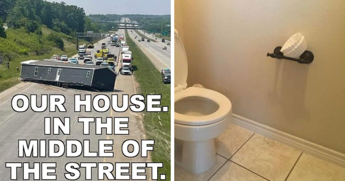 50 ‘Things In Places They Shouldn’t Be’ To Make Your Day Better (New Pics)