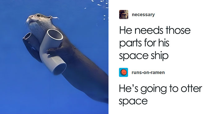 “The Real Joke”: 50 Times The Comments Deserved More Praise Than The Post Itself (New Pics)