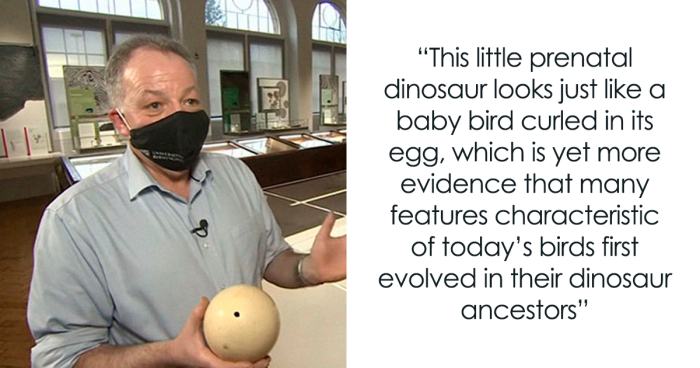 Scientists Unveil “Most Complete Dinosaur Embryo Ever,” Solving