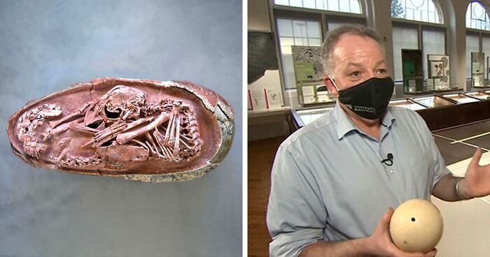 Scientists Unveil “Most Complete Dinosaur Embryo Ever,” Solving
