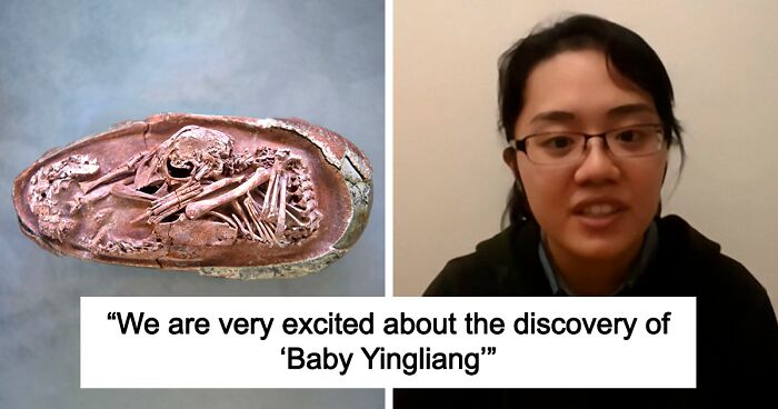 Scientists Unveil “Most Complete Dinosaur Embryo Ever,” Solving