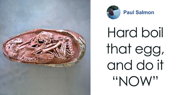 Scientists Unveil “Most Complete Dinosaur Embryo Ever,” Solving