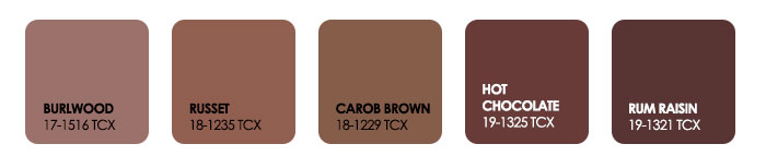 warm brown color palette