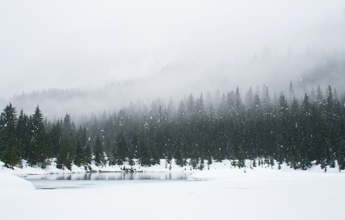 Frozen lake in the middle of the forest where it's snowing 