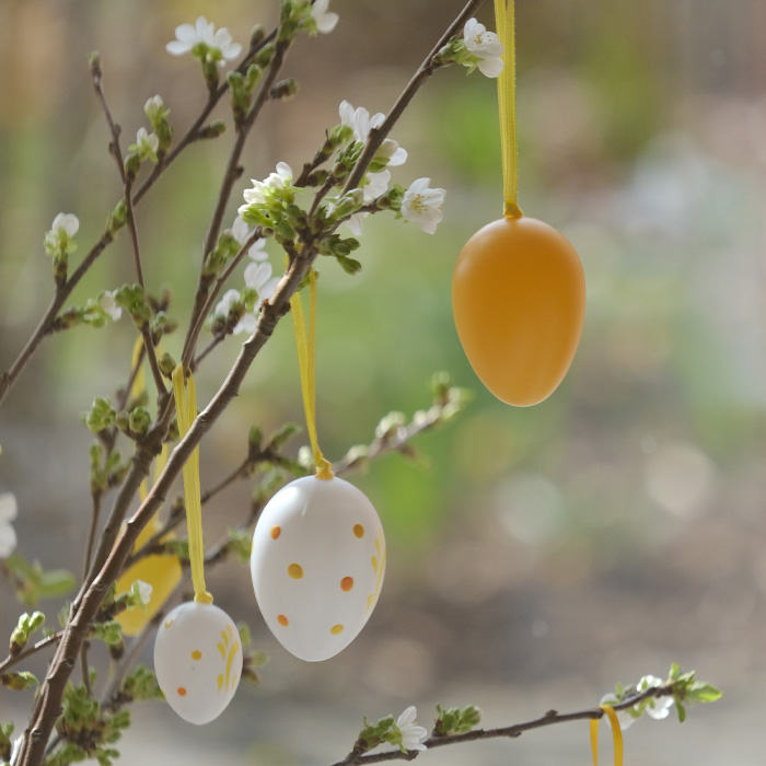Easter eggs hanging on the blooming branches 