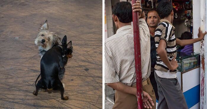 Beauty In Simplicity: 30 Beautiful Photos By Dimitris Makrygiannakis That May Resonate With You