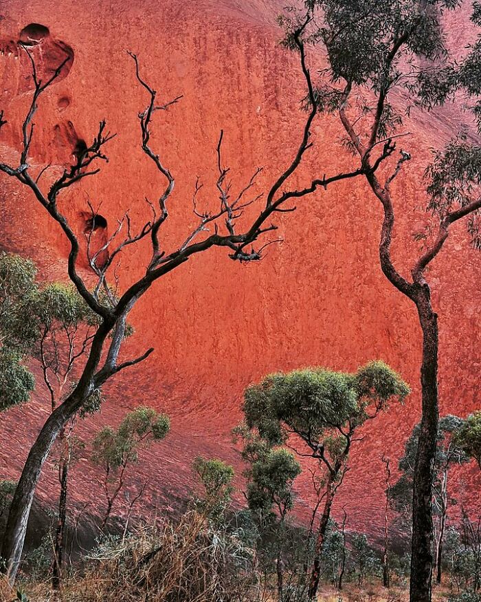 A Different View Of Uluru - Australia