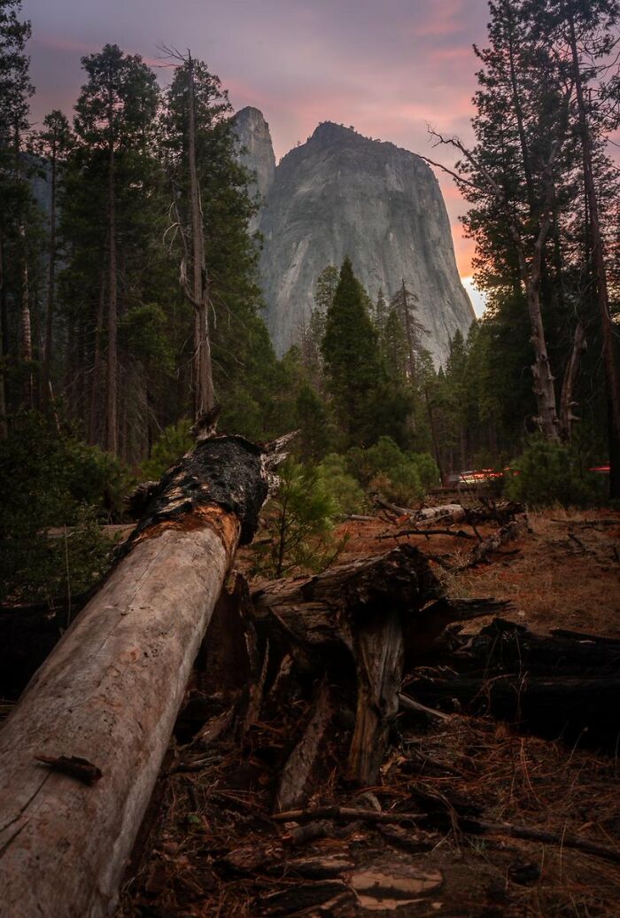 So Beautiful, In Yosemite National Park
