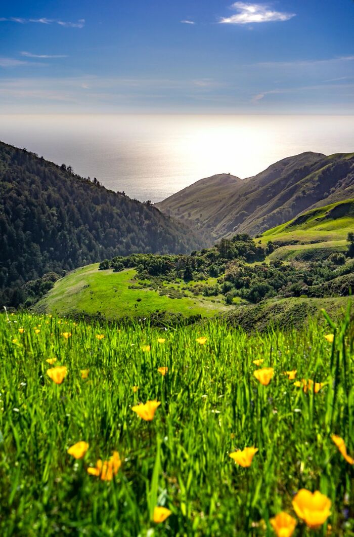 Big Sur California, Early Spring