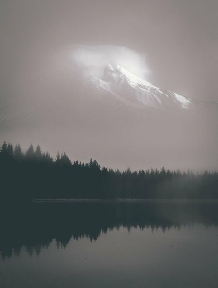 Mt Hood Appearing Through The Fog, Trillium Lake Or