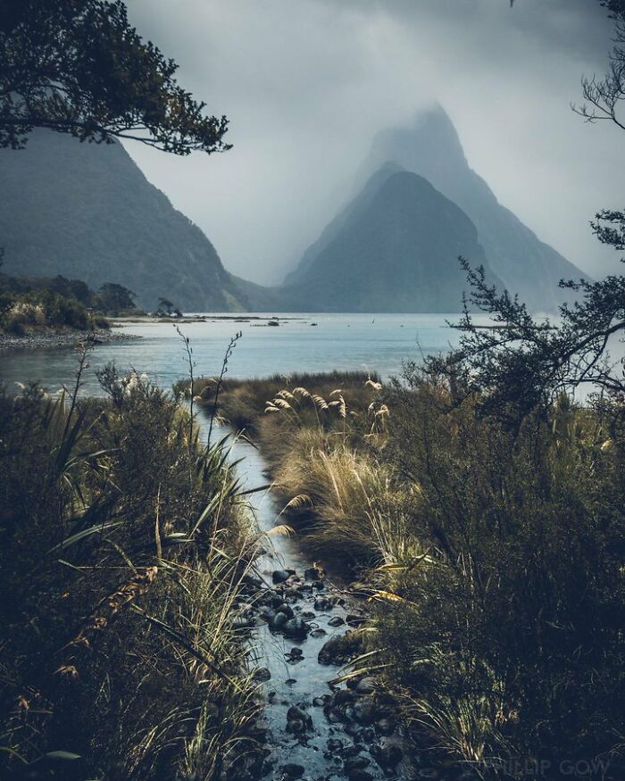 The Worse The Weather, The Better This Place Looks. A Moody Day At Milford Sound, New Zealand @phillipgow