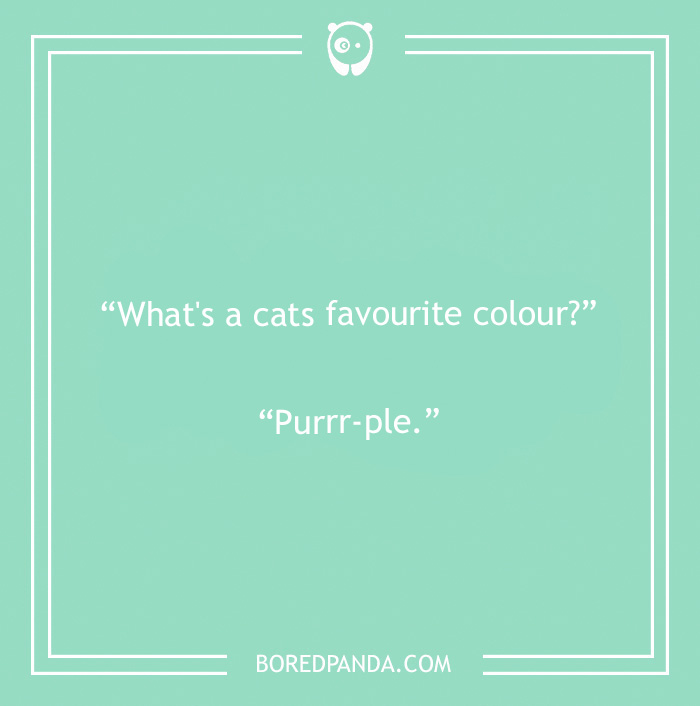 Cats favourite color pun 