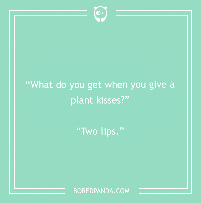 Plant kisses pun 