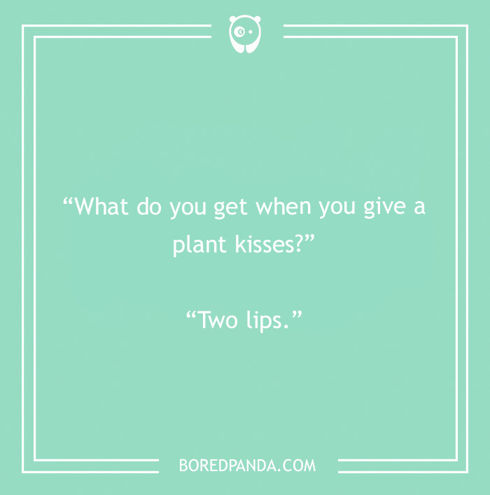 Plant kisses pun 