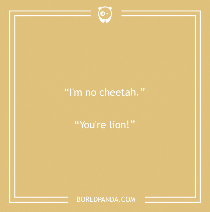 Cheetah and lion pun 