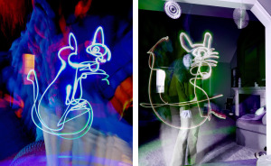 I Created A Series Of Cat Light Drawings