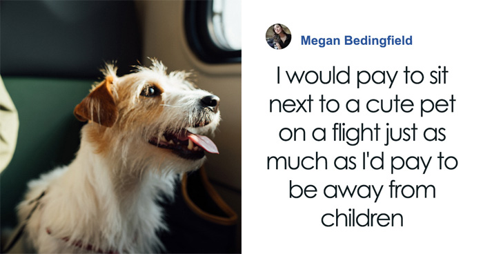 “They Behave Better” New Survey Shows That People Prefer Pets Over Children On Planes
