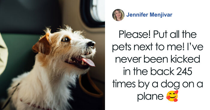 “They Behave Better” New Survey Shows That People Prefer Pets Over Children On Planes
