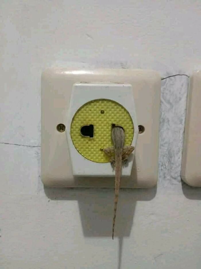 Unfortunate-Events-Pics